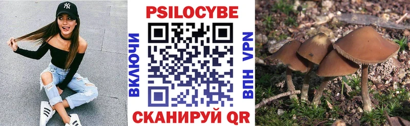 Псилоцибиновые грибы мухоморы  Владивосток 