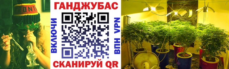 наркотики  Владивосток  Шишки марихуана SATIVA & INDICA 
